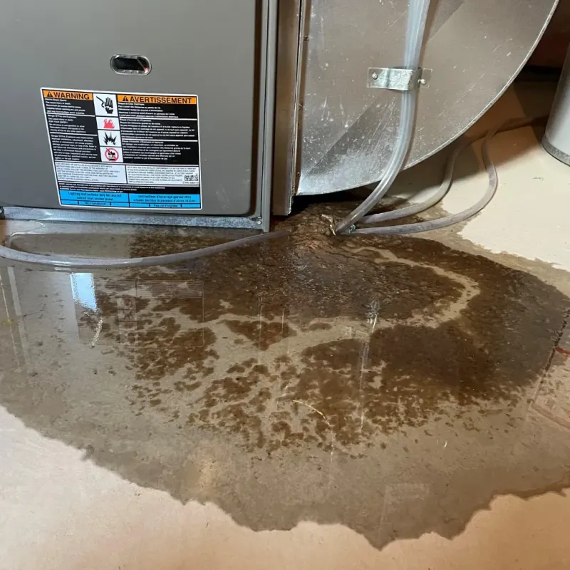 Appliance Leak Cleanup in Baker County, GA